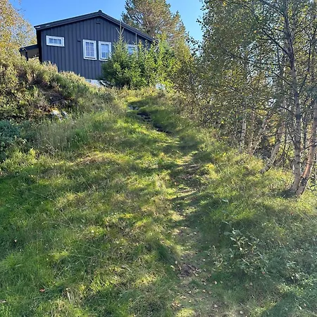 Retro In Scenic Sinnes Location Tjorhom