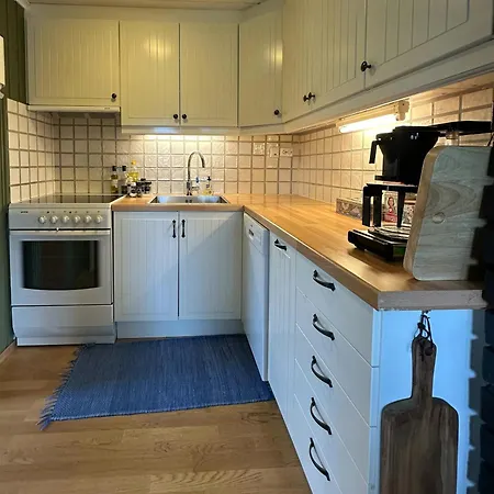 Retro In Scenic Sinnes Location * Tjorhom