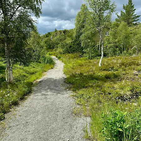 Retro In Scenic Sinnes Location Tjorhom